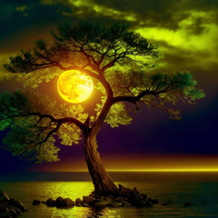IN THE MOONLIGHT...