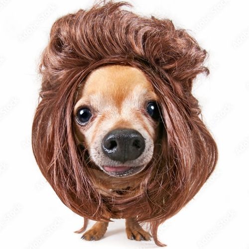 Sedi du kleiner nutten part 2