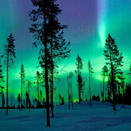 Deep Woods #36 - Awesome Progressive Organic House Journey