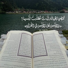 سور كاملة بأصوات مفضلة💗 (غير مرتبة)