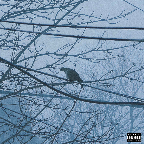 RENEGADE (prod. esthetic gloom)