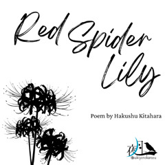 Red Spider Lily – A Japanese Poem in Sound（曼珠沙華／北原白秋）