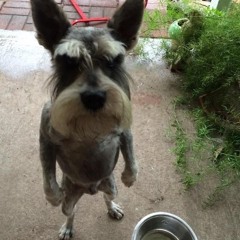 are you ready [FREE DL]