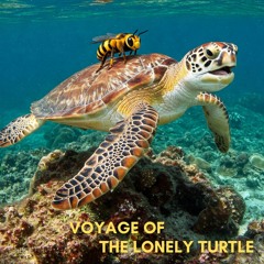 Voyage of the Lonely Turtle