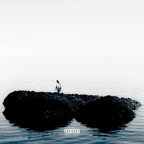 11.) The Woods. (Demo) (Prod. Zionkat)