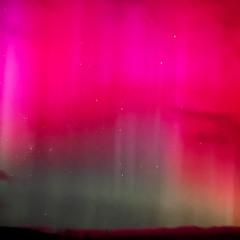 Jay Phonic - lost in the playlists