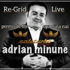 Adrian Minune - Permis De Fite (Opa Nina Nai)(saleturbo Live Re-Grid)