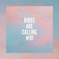 Maz @ Birds Are Calling #01
