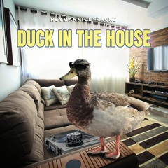 Duck In The House
