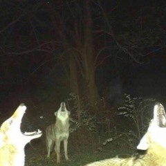 running ft. human bee(prod. by redMOSK)