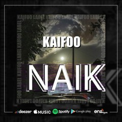 Naik