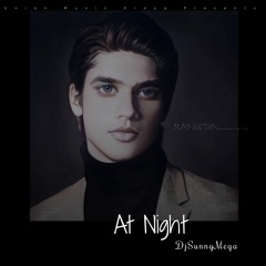 At Night | DjSunnyMega | Official Audio HD