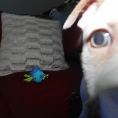 Running For Our Lives (prod.vaegud&sketchmyname)