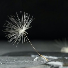 New Beginning