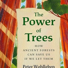 READ⚡[EBOOK]❤ The Power of Trees: How Ancient Forests Can Save Us if We Let Them