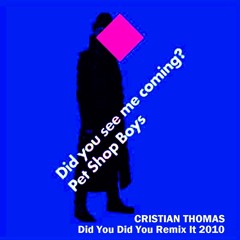 PET SHOP BOYS - DID YOU SEE ME COMING (CRISTIAN THOMAS DID YOU REMIX IT 2010)