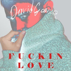 David Garner - Fuckin Love