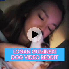 Stream Trending: Logan Guminski Dog Viral Video Reddit by Logan ...
