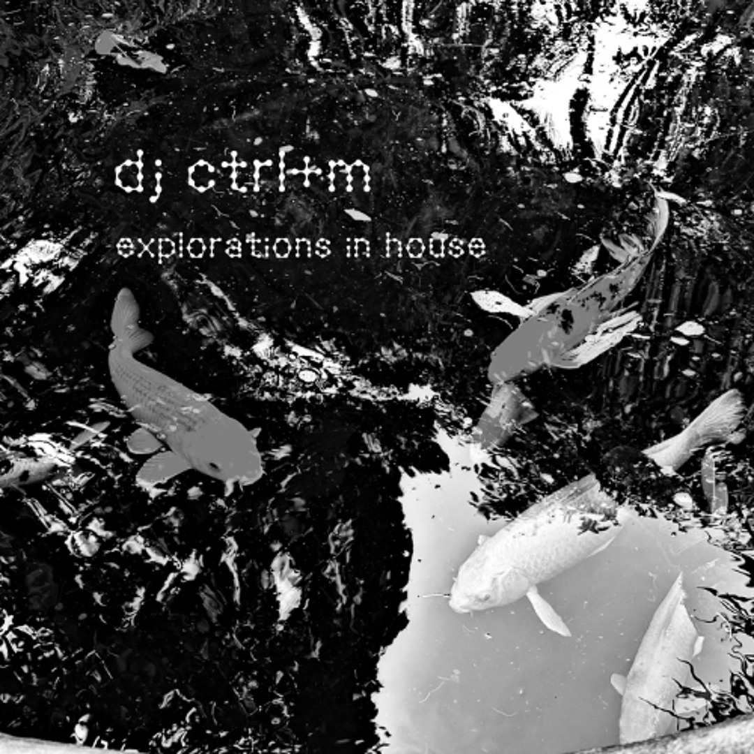 explorations in house
