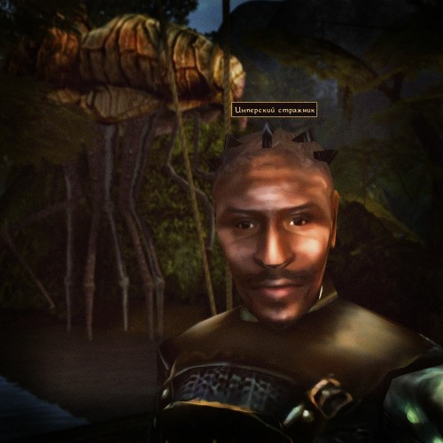 Vvardenfell Dreamin' / Call of Magic (TES III: Morrowind OST Cover)