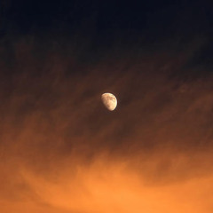 FIRE MOON - SOVE - {FREE DOWNLOAD}