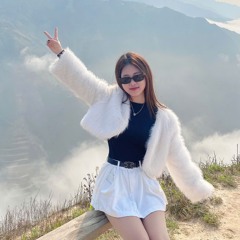 NST - VIETMIX 2026 - Sung Căng Tươi