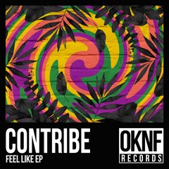 Contribe - Spin That Shit