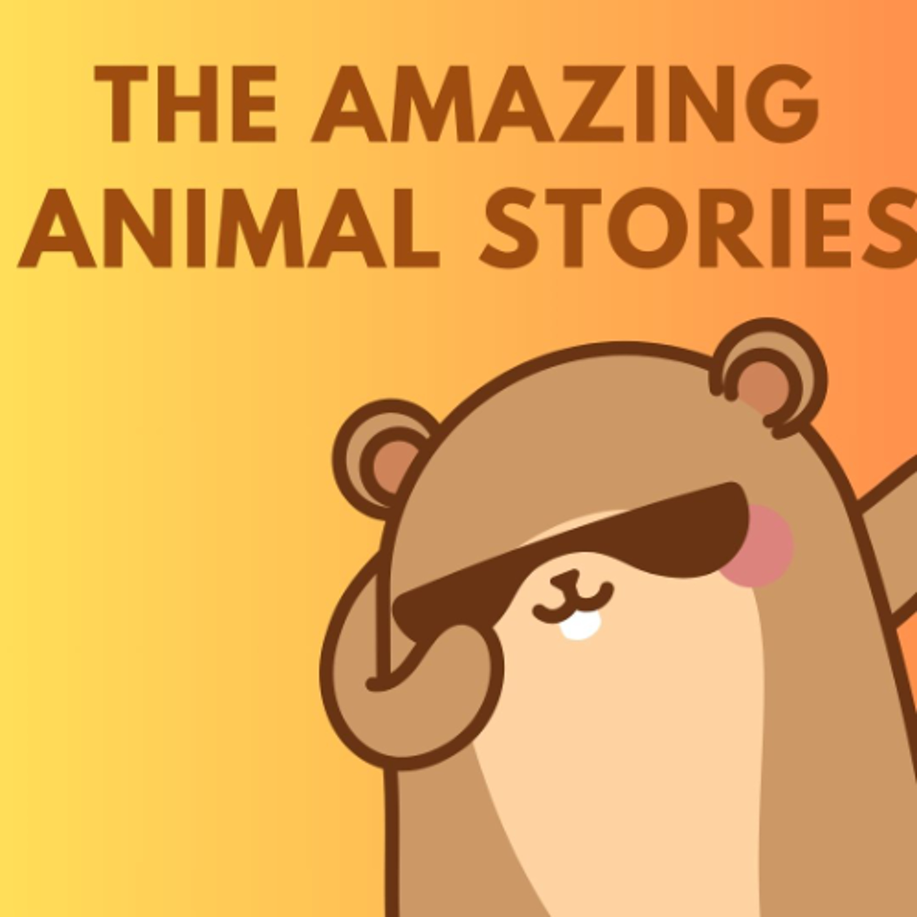 The Amazing Animal Stories - Lucy, Rose, Madeline and Aleeyah - Xavier College episode artwork