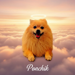 SYMPHONY OF PONCH