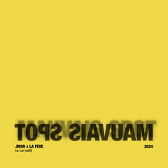 MAUVAIS SPOT - JMSN X LA FEVE (Lei edit)