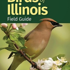 Kindle⚡online✔PDF Birds of Illinois Field Guide (Bird Identification Guides)