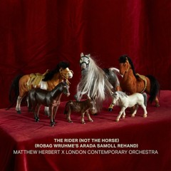 Matthew Herbert x London Contemporary Orchestra - The Rider (Not The Horse) Robag Wruhme