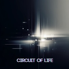 Circuit Of Life