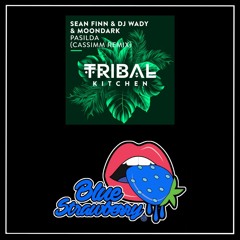 Sean Finn & DJ Wady & MoonDark - Pasilda (CASSIMM Remix)