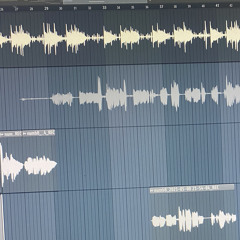 The Buisness MannyDV ft. Duke