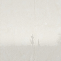 Dust