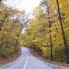 Flying Hog Blues Jam - by GCatDave