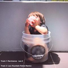 Leo (Fountain Patrol Remix)