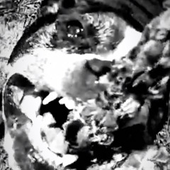 EST (prod. Jacko Rarri/Celobeatzz)