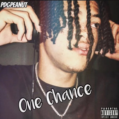 PDGPeanut - One Chance