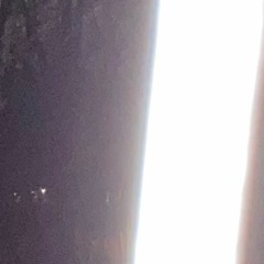 LOOP