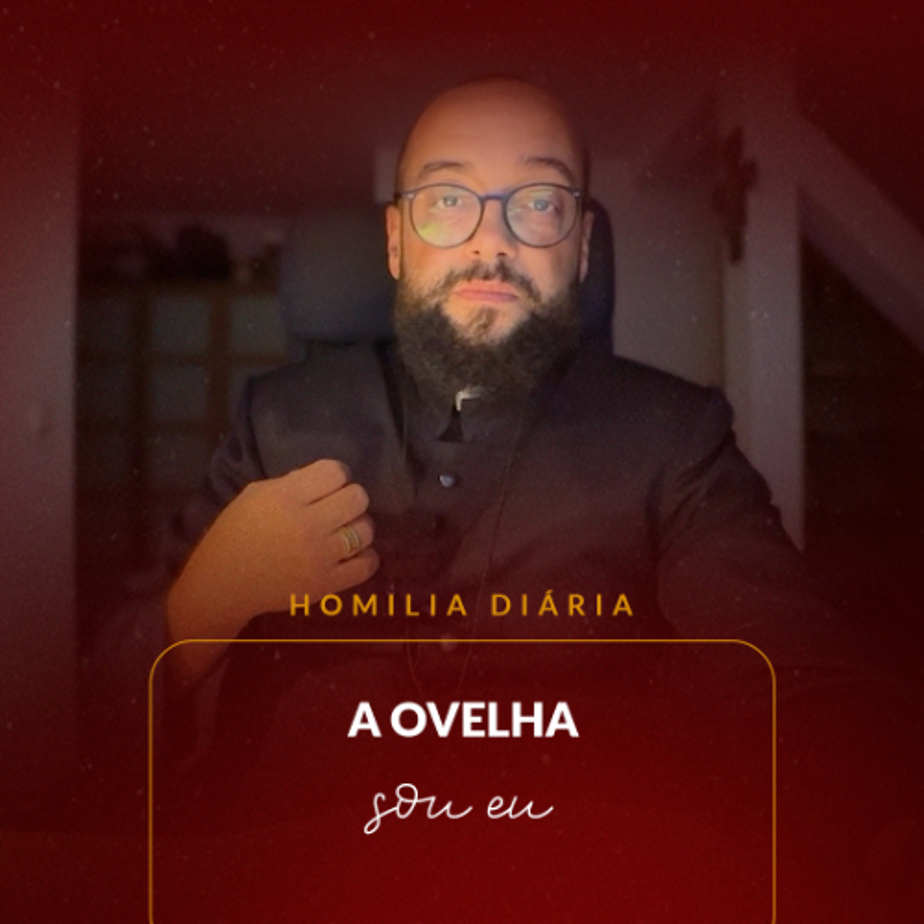 Homilia Diária - A ovelha sou eu | 2025.11.06
