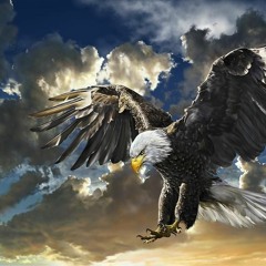 Skyper - The Flight II (Original)