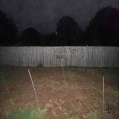 Liz Cambage justsol + sosicco