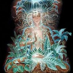 Da Floresta - Priscila Torres (Música Autoral)