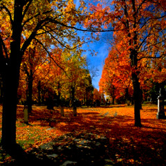 /// Lillithe --- Sunny Autumn Day ///