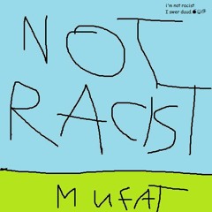 Not A Racist Song