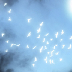 Everyday (prod.Gerreaux Katana)