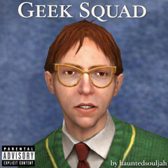 geek squad