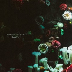 Between two breaths